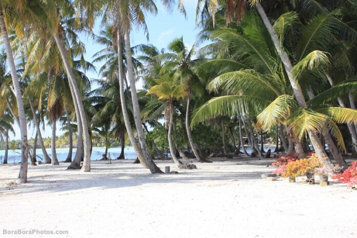 bora-bora-beach