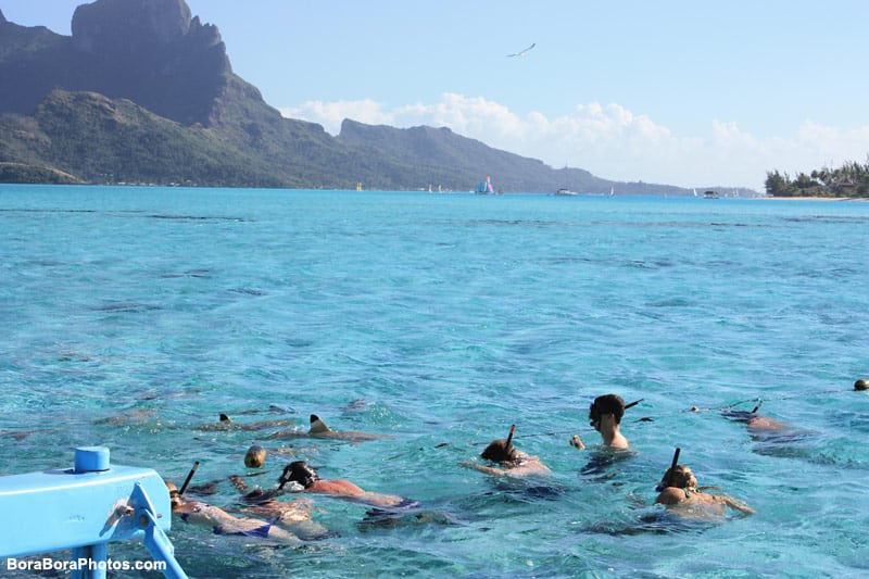 Face to face with sharks in Bora Bora.
