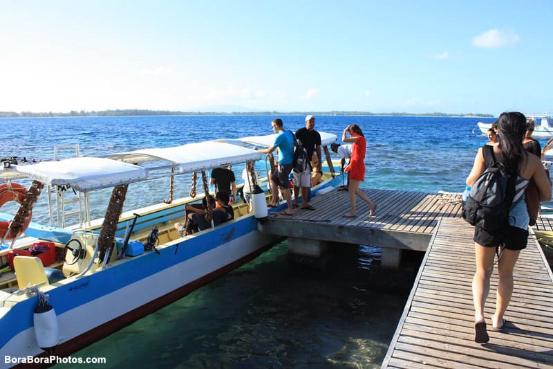People about to board the shark feeding boat.
